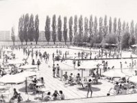 Svetice, bazen, 1960-ih godina